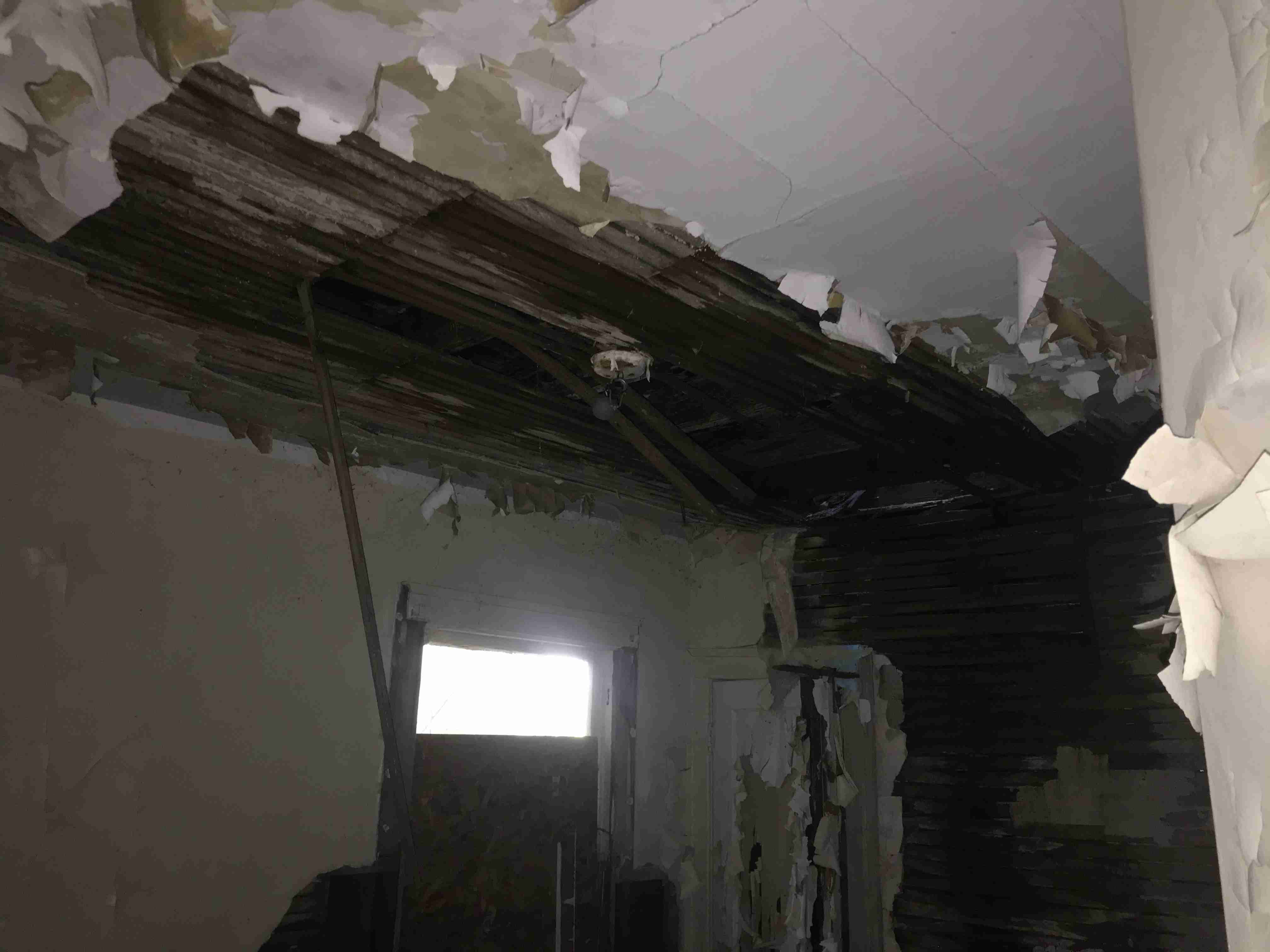 Photo Aug 20, 7 11 10 PM.jpg